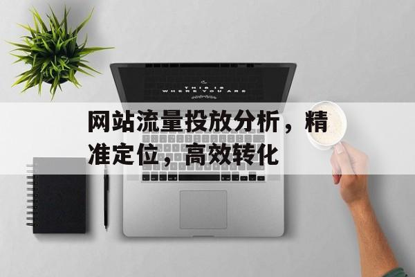 网站流量投放分析，精准定位，高效转化