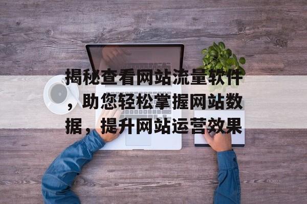 揭秘查看网站流量软件，助您轻松掌握网站数据，提升网站运营效果
