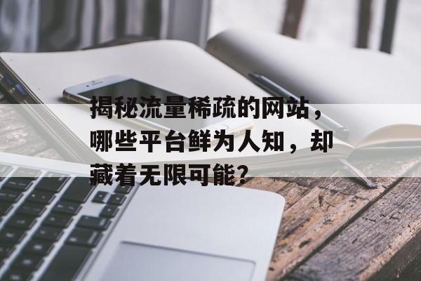 揭秘流量稀疏的网站，哪些平台鲜为人知，却藏着无限可能？