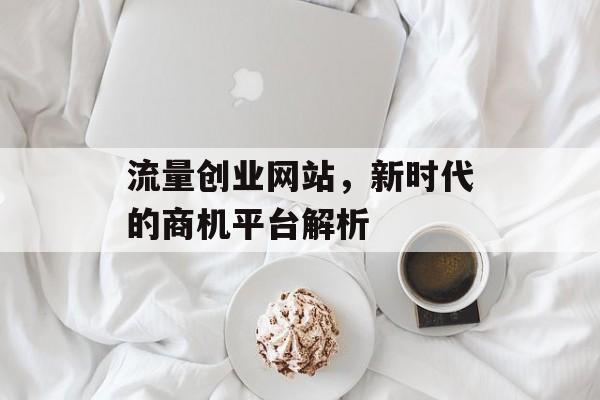 流量创业网站，新时代的商机平台解析