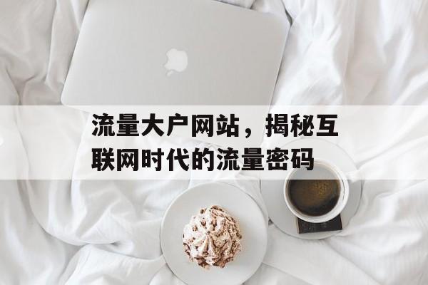 流量大户网站，揭秘互联网时代的流量密码