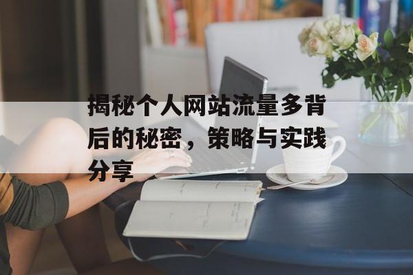 揭秘个人网站流量多背后的秘密，策略与实践分享
