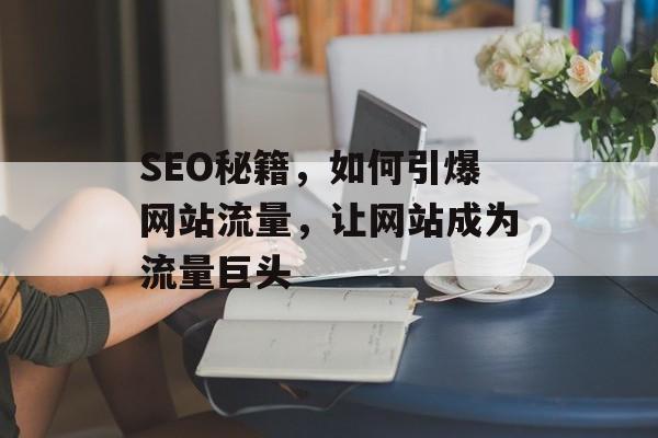 SEO秘籍，如何引爆网站流量，让网站成为流量巨头