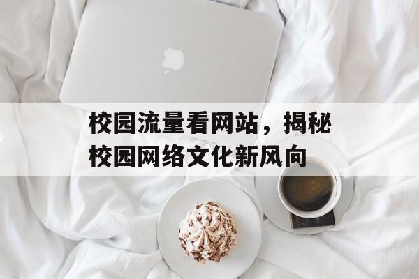 校园流量看网站，揭秘校园网络文化新风向