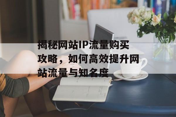 揭秘网站IP流量购买攻略，如何高效提升网站流量与知名度