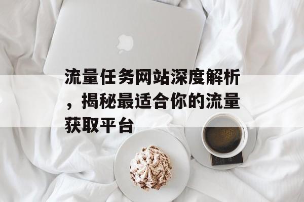 流量任务网站深度解析，揭秘最适合你的流量获取平台