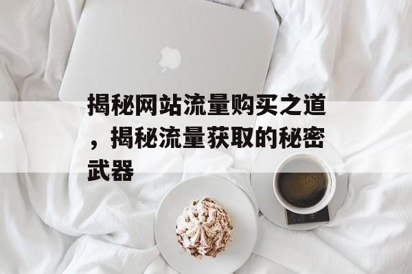 揭秘网站流量购买之道，揭秘流量获取的秘密武器