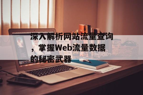 深入解析网站流量查询，掌握Web流量数据的秘密武器