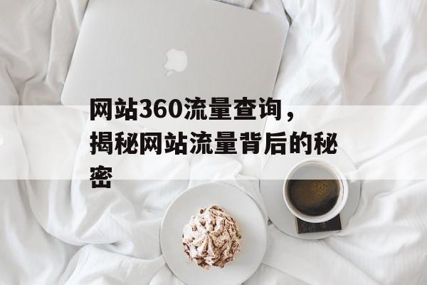网站360流量查询，揭秘网站流量背后的秘密