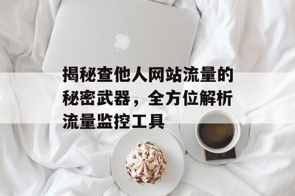 揭秘查他人网站流量的秘密武器，全方位解析流量监控工具