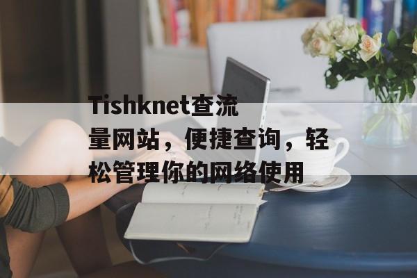 Tishknet查流量网站，便捷查询，轻松管理你的网络使用