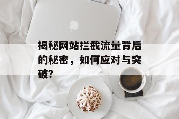 揭秘网站拦截流量背后的秘密，如何应对与突破？