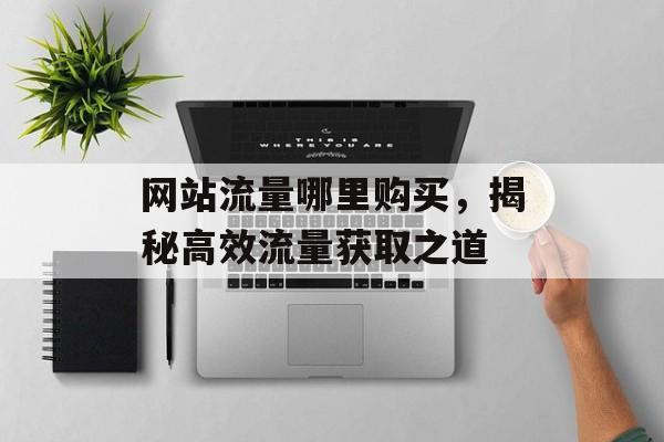 网站流量哪里购买，揭秘高效流量获取之道
