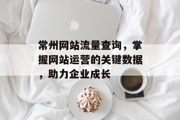 常州网站流量查询，掌握网站运营的关键数据，助力企业成长