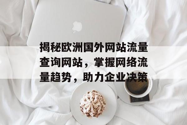 揭秘欧洲国外网站流量查询网站，掌握网络流量趋势，助力企业决策