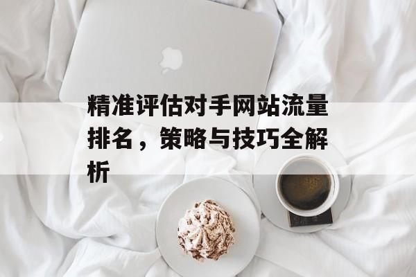 精准评估对手网站流量排名，策略与技巧全解析