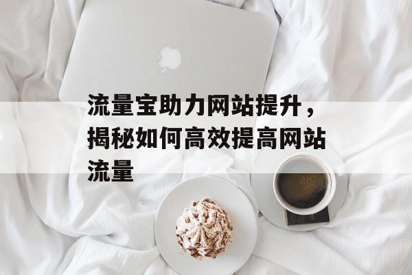 流量宝助力网站提升，揭秘如何高效提高网站流量