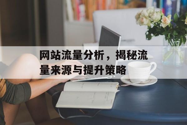 网站流量分析，揭秘流量来源与提升策略