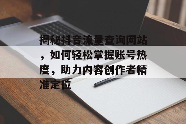揭秘抖音流量查询网站，如何轻松掌握账号热度，助力内容创作者精准定位