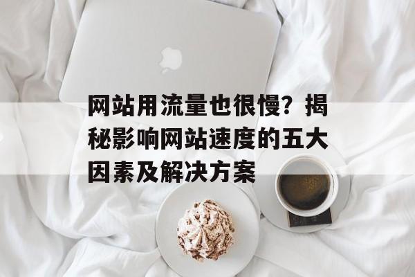 网站用流量也很慢？揭秘影响网站速度的五大因素及解决方案