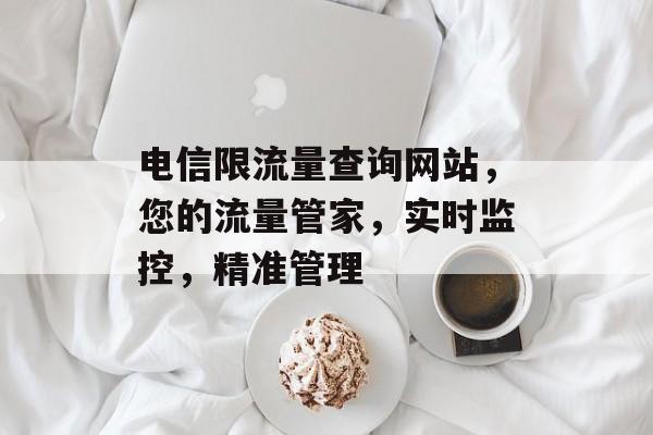 电信限流量查询网站，您的流量管家，实时监控，精准管理