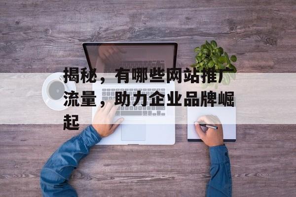 揭秘，有哪些网站推广流量，助力企业品牌崛起