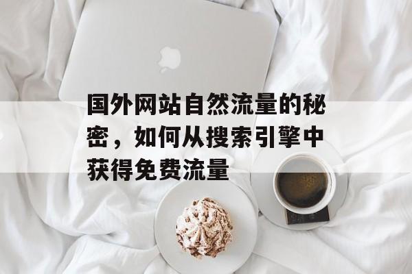 国外网站自然流量的秘密，如何从搜索引擎中获得免费流量