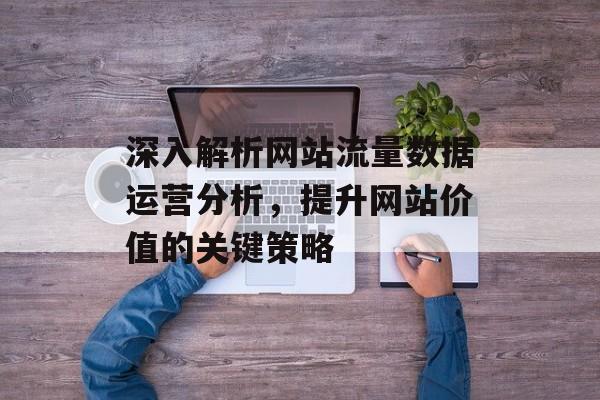 深入解析网站流量数据运营分析，提升网站价值的关键策略