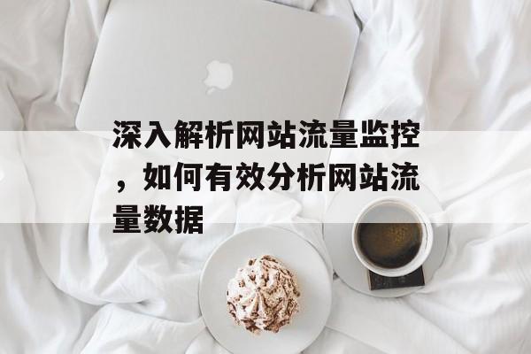 深入解析网站流量监控，如何有效分析网站流量数据