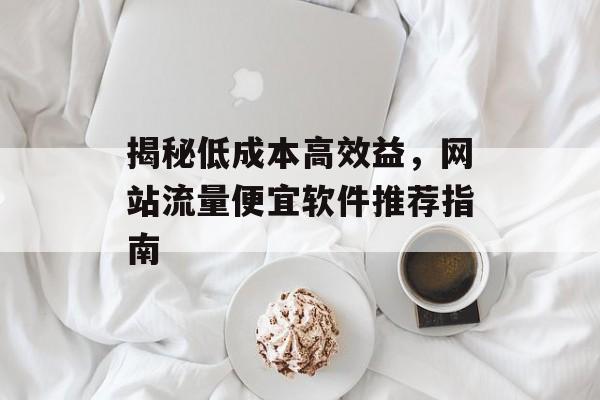 揭秘低成本高效益，网站流量便宜软件推荐指南