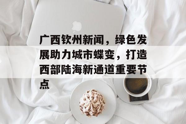广西钦州新闻，绿色发展助力城市蝶变，打造西部陆海新通道重要节点