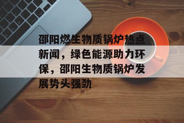邵阳燃生物质锅炉热点新闻，绿色能源助力环保，邵阳生物质锅炉发展势头强劲