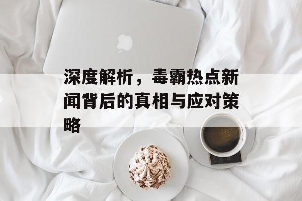 深度解析，毒霸热点新闻背后的真相与应对策略