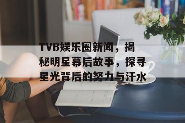 TVB娱乐圈新闻，揭秘明星幕后故事，探寻星光背后的努力与汗水