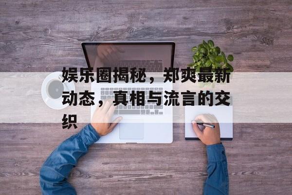 娱乐圈揭秘，郑爽最新动态，真相与流言的交织