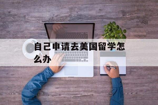 自己申请去美国留学怎么办 自己申请去美国留学怎么办