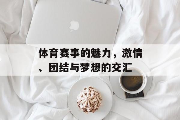 体育赛事的魅力,激情、团结与梦想的交汇 体育赛事的魅力,激情、团结与梦想的交汇