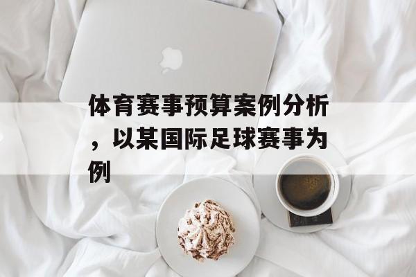 体育赛事预算案例分析,以某国际足球赛事为例 体育赛事预算案例分析,以某国际足球赛事为例