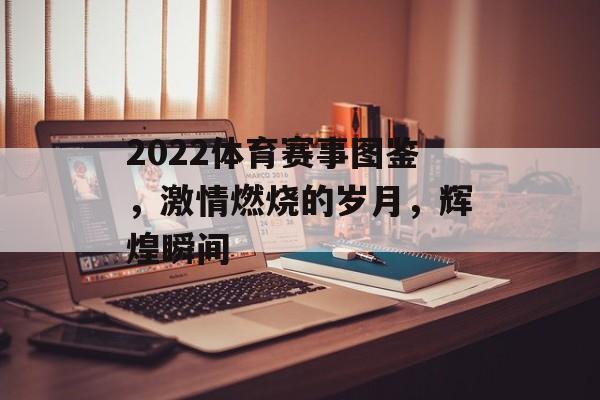 2022体育赛事图鉴，激情燃烧的岁月，辉煌瞬间