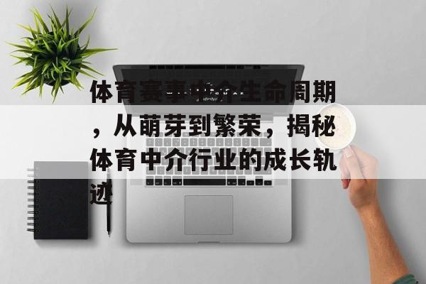 体育赛事中介生命周期，从萌芽到繁荣，揭秘体育中介行业的成长轨迹