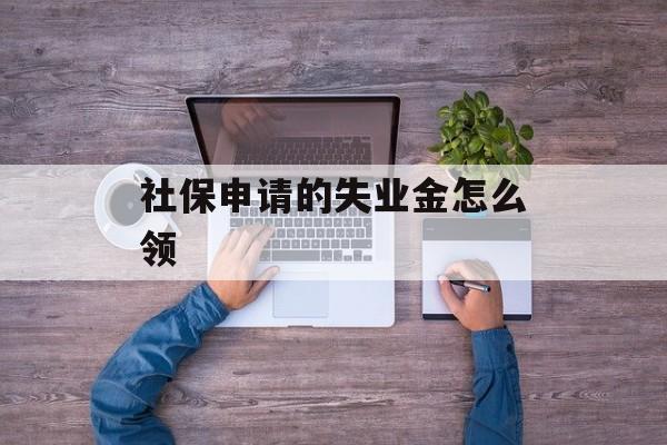 社保申请的失业金怎么领