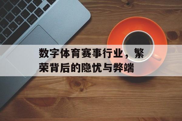 数字体育赛事行业，繁荣背后的隐忧与弊端