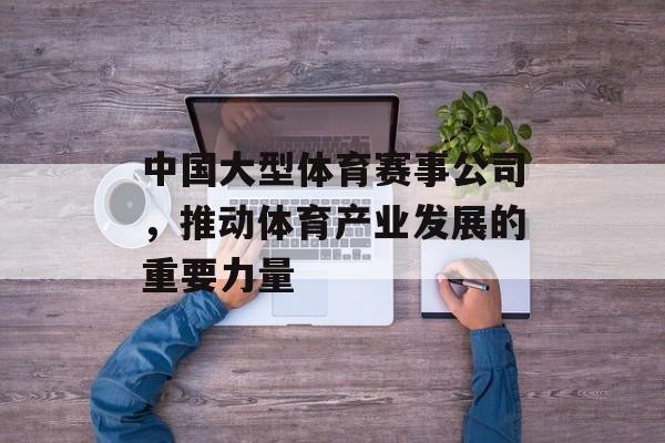 中国大型体育赛事公司,推动体育产业发展的重要力量 中国大型体育赛事公司,推动体育产业发展的重要力量
