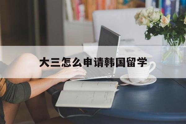 大三怎么申请韩国留学 大三怎么申请韩国留学