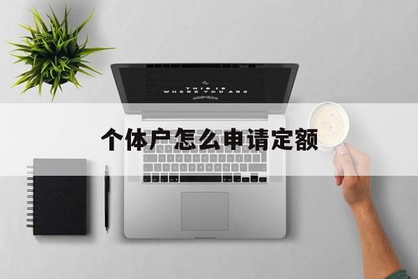 个体户怎么申请定额 个体户怎么申请定额