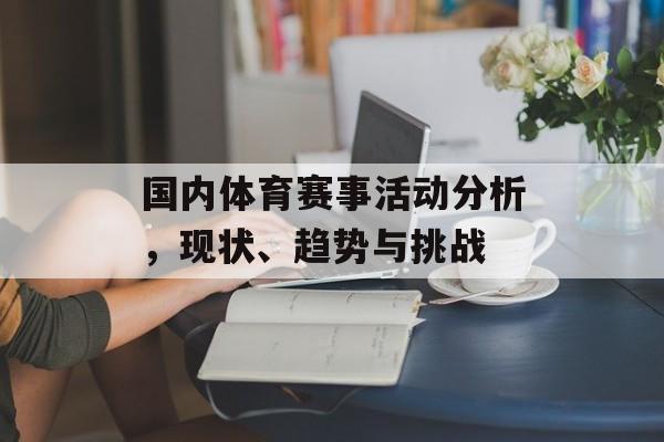 国内体育赛事活动分析,现状、趋势与挑战 国内体育赛事活动分析,现状、趋势与挑战