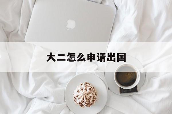 大二怎么申请出国 大二怎么申请出国
