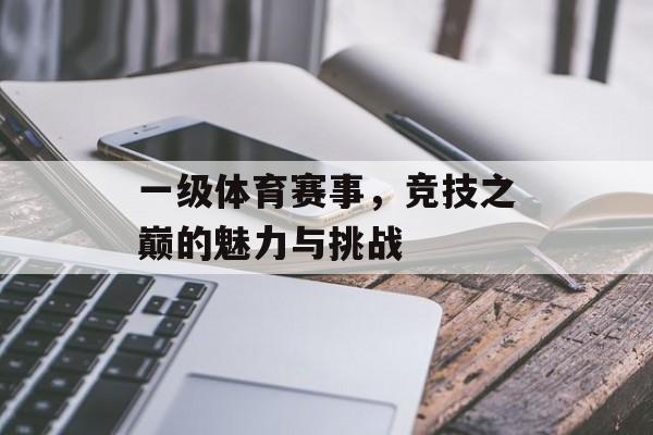 一级体育赛事，竞技之巅的魅力与挑战