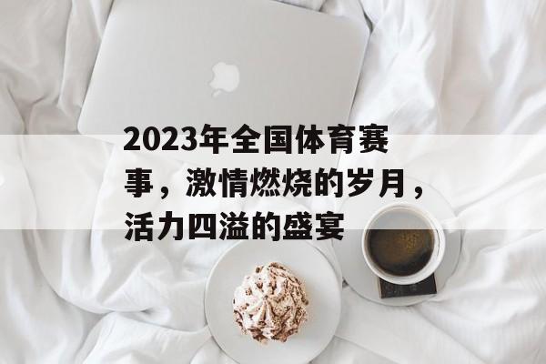 2023年全国体育赛事，激情燃烧的岁月，活力四溢的盛宴