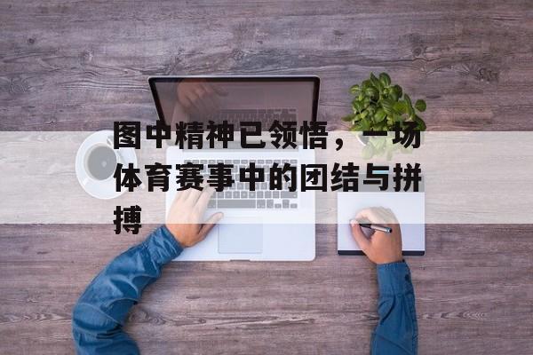 图中精神已领悟，一场体育赛事中的团结与拼搏